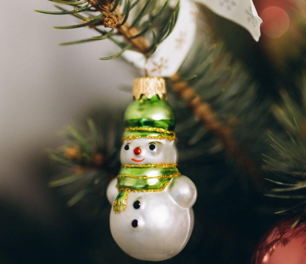 Create Memories with a Christmas Tree with Lights